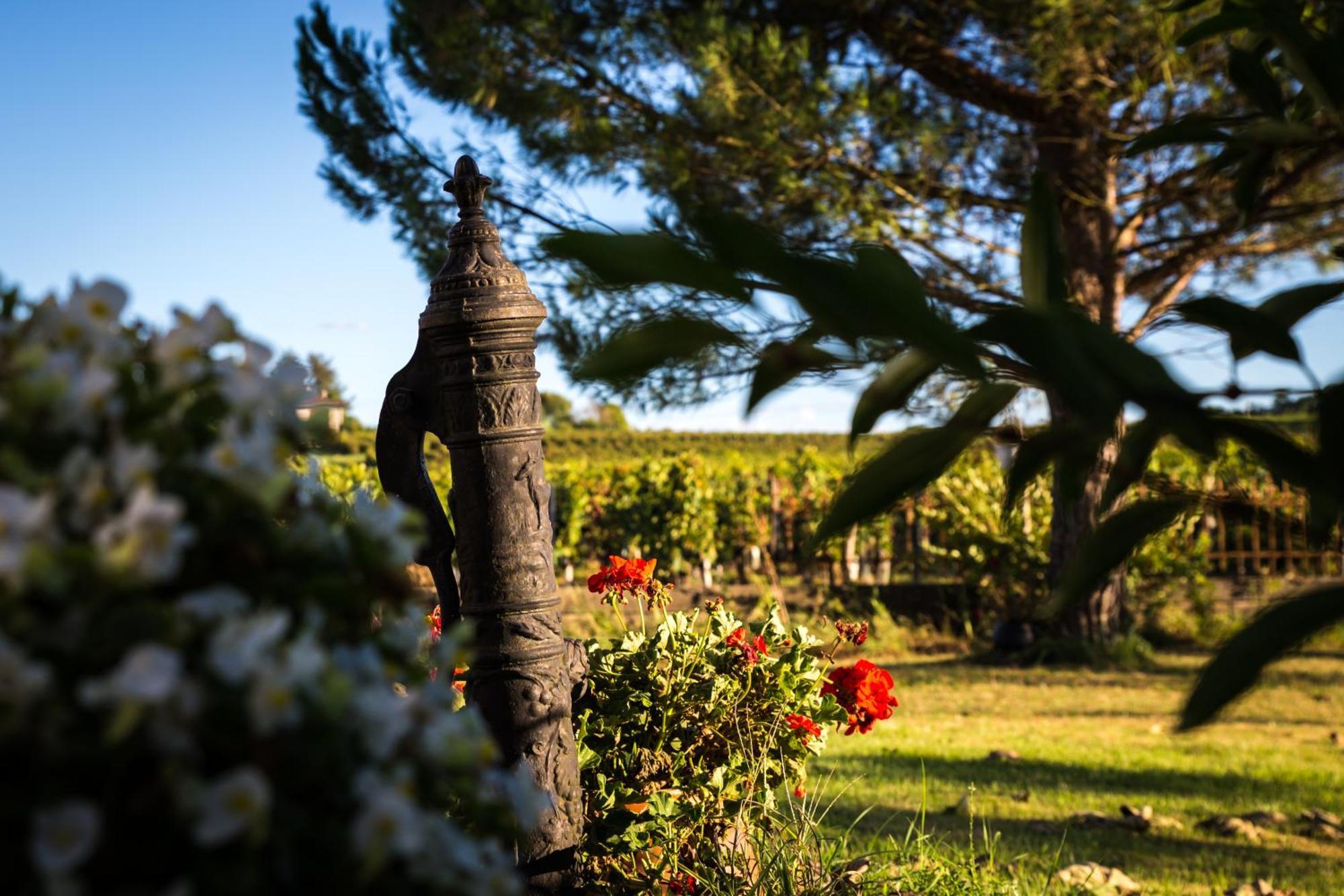 L'Hermitage D'Alienor Lugon et l’Ile du Carney Exterior foto